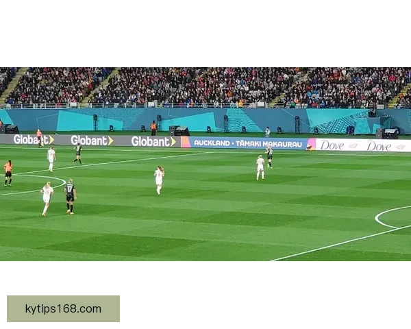 美加墨世界杯：三国联手迎接历史性足球盛宴，开启新篇章