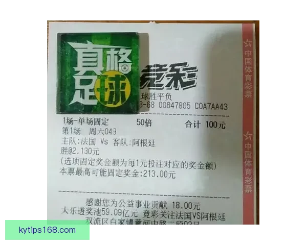 世界杯竞猜网站推荐与投注技巧分析助你精准预测赛事结果